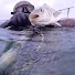 3ZMr49AtNq4-channel-avatar-martinpescatoresub