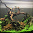 @keepitnatural4116 Avatar