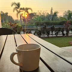 Retired and Living the dream net worth