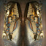 eUl4F0OMuP0-channel-avatar-Ancient College