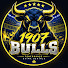 4lLVoDE45XE-channel-avatar-1907 BULLS