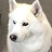 youtube avatar