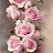 avatar of @bushrabashir6064