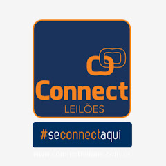 Connect Leilões - Lotes