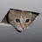 @ScottyBishop Avatar