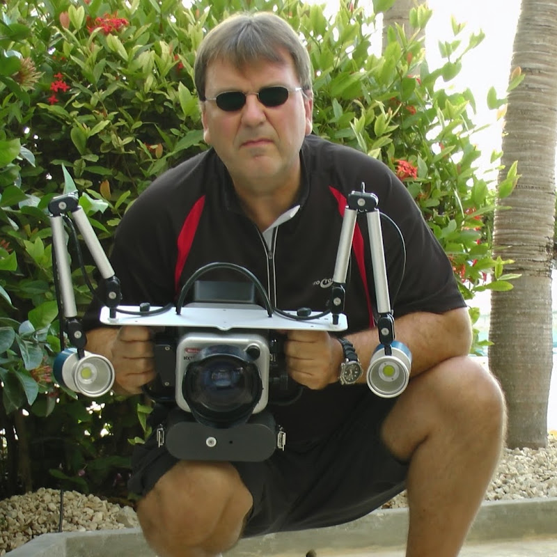Dive Movies