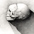 @BogdanNYou Avatar