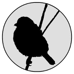 Shrike