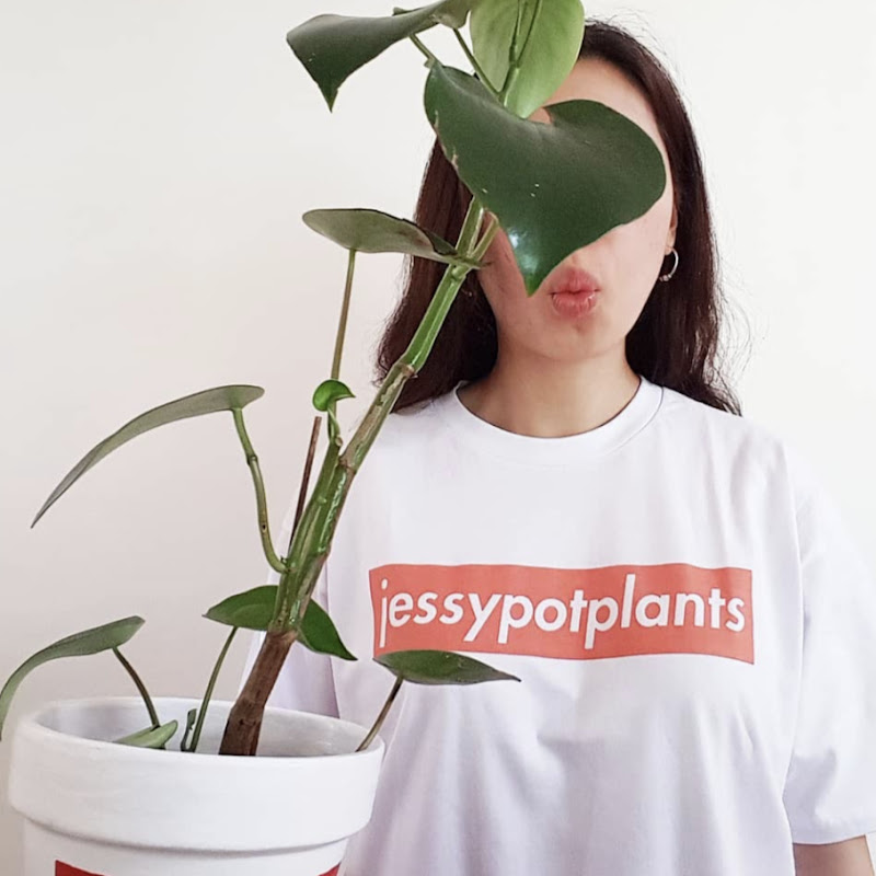 jessypotplants