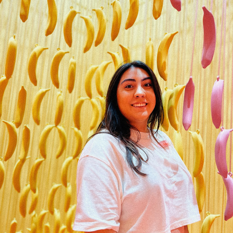 Itzel Jaimez (Itzel Jaimez) icon