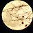 @jorgemarquez3753's avatar