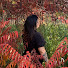 PQt_9GZp-oo-channel-avatar-kimxtine