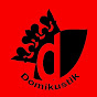 Domikustik logo