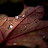 @Michael.S.34's avatar