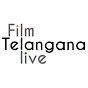 Film Telangana logo