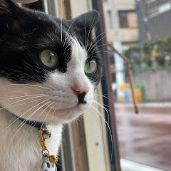 そるとちゃん