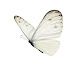 a80mQUYAqIQ-channel-avatar-The Mystical Intuitive