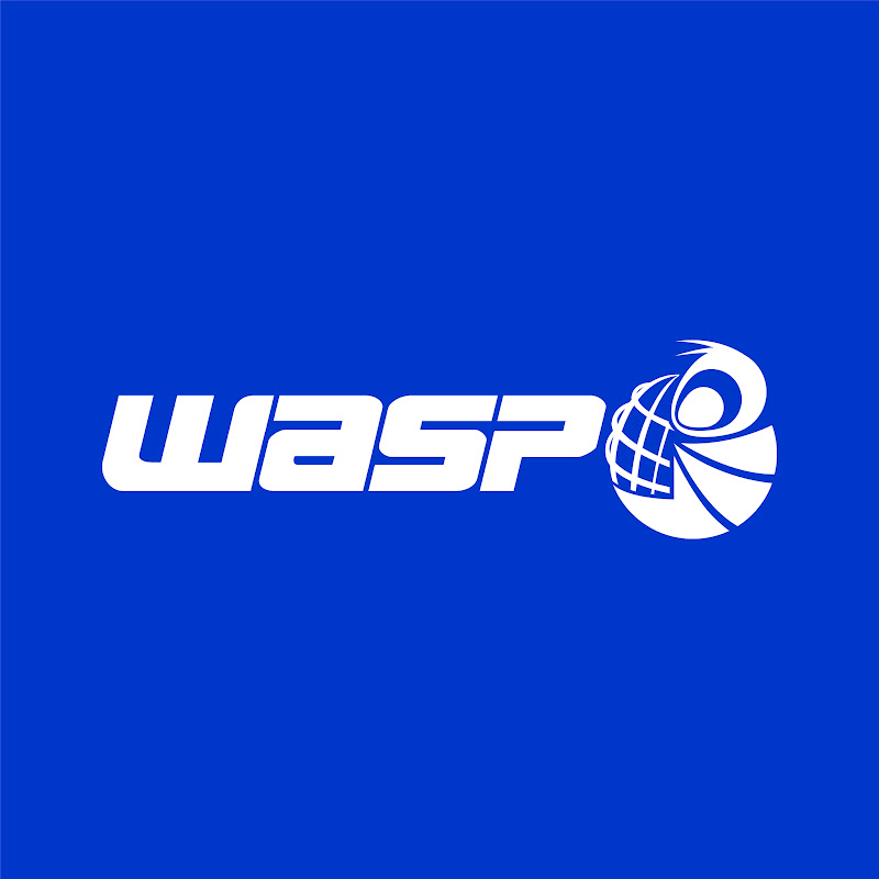 3D WASP