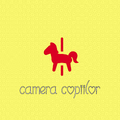Camera Copiilor