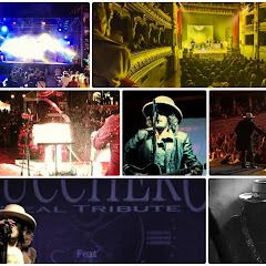 Live Konzerte von Zucchero