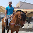 F0gO2_SXUjM-channel-avatar-Jose Bullero y Cias.
