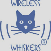 Wireless Whiskers