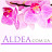 Aldea Shop