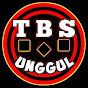 TBS unggul logo