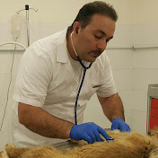 Dr Ramin Elahi