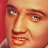 XtuWKqfUzUE-channel-avatar-ELVIS WORLD