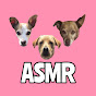 Sweet Daisy ASMR logo