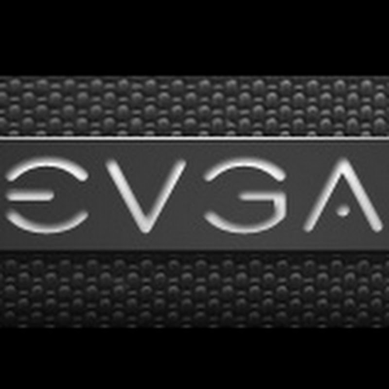 evgaonthetube