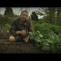 WG6q6Z-Isso-channel-avatar-seedtoplate