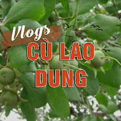 Cù Lao Dung Vlogs net worth