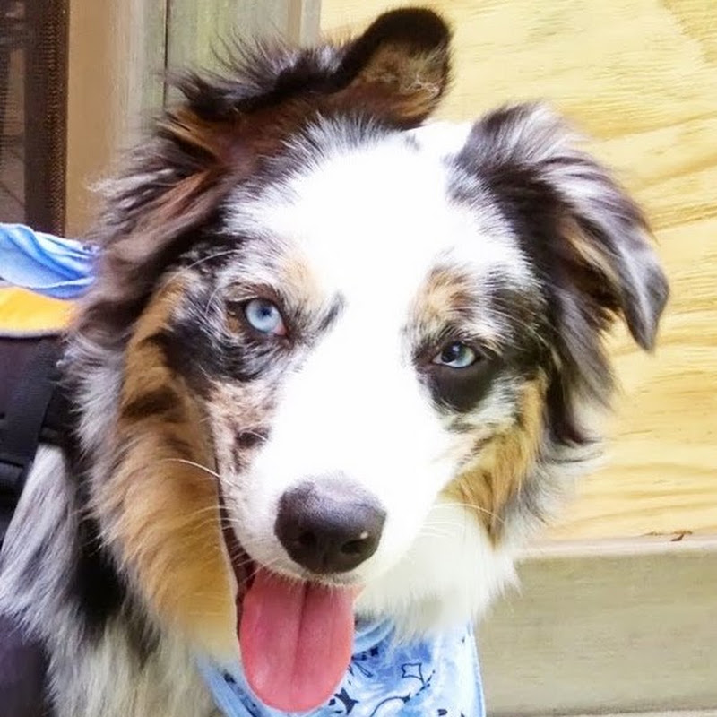 Luke the Aussie