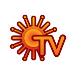 Sun TV Net Worth