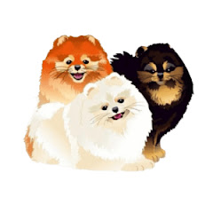 פט לייף סטייל