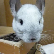 kurimu3