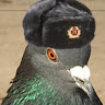Автор