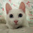 @향기폴폴-l8w