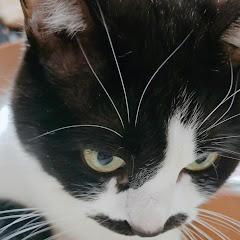 りっちゃま