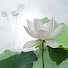 zLAOopYbvWw-channel-avatar-lek mindfulness