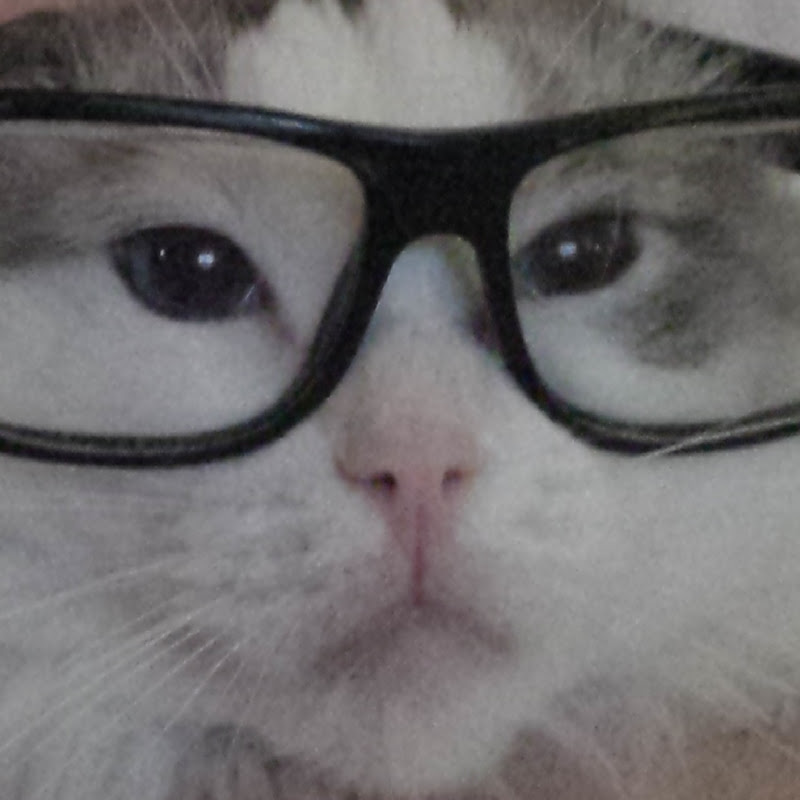 NerdrageFred