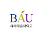 백석예술대학교