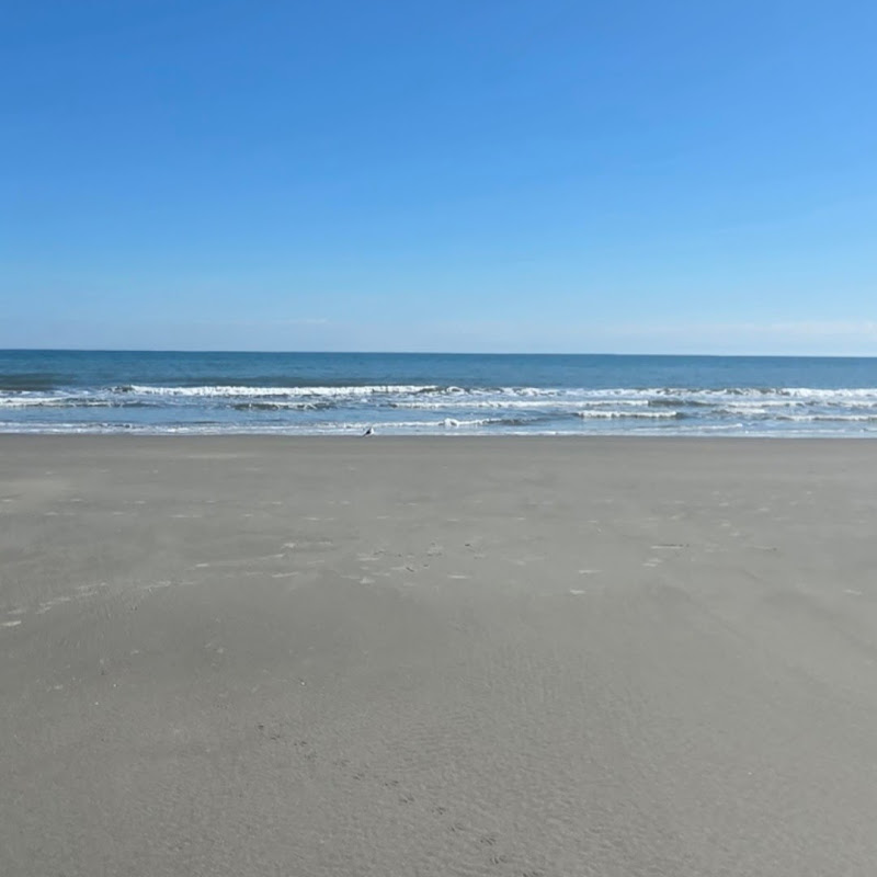 Beach Lover