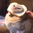 tY_kIo7H1Ug-channel-avatar-Judy Steak
