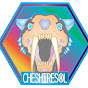 Cheshiresol90 logo