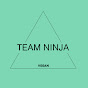 Team Ninja logo