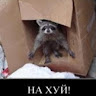 Автор