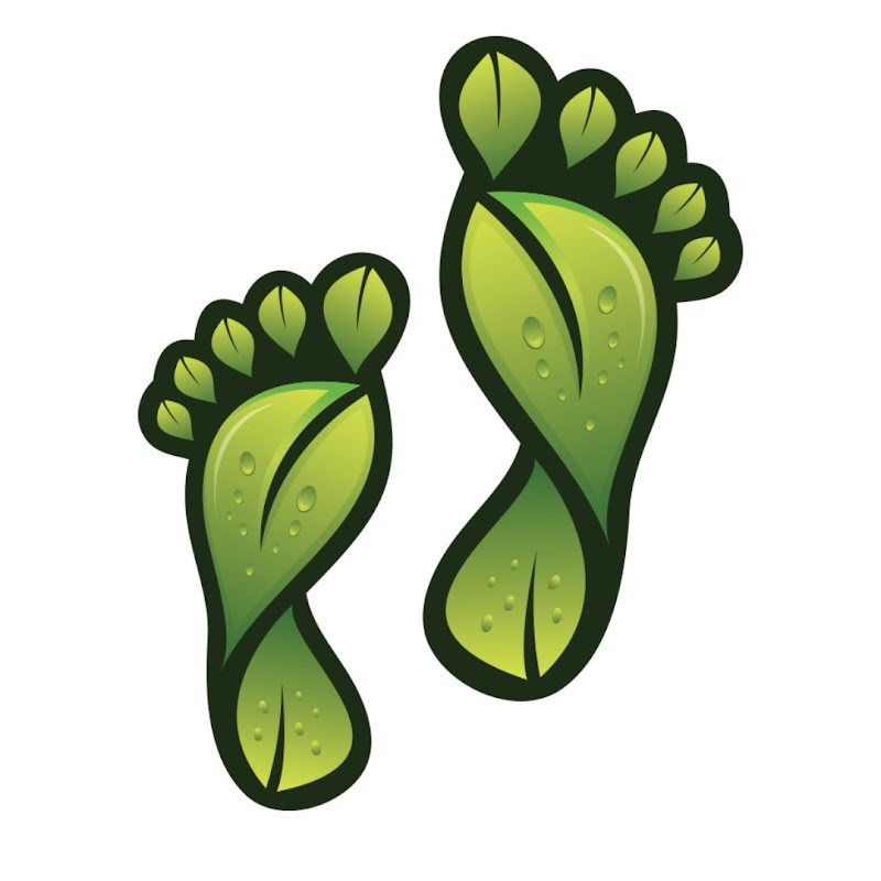 Strictly For Beginners